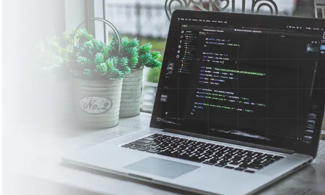 database-management